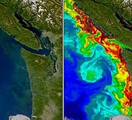 A research image of concentrations off the United States West Coast.